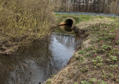 Arbeiten des Wasser- und Bodenverbandes Munkbrarupau