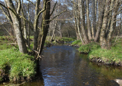 Wasser- und Bodenverband Munkbrarupau